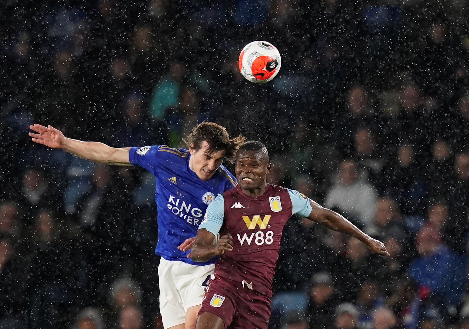 罗亚不仅能 罗亚不仅能